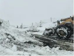 e655578527be0f4029d5d220b6041586 008PG国际(中国区)-官方网站